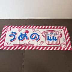 阪神タイガース 応援タオル 選手タオル 漢字タオル シークレットタオル