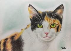 【原画】『シュカリモーゼ』（猫　絵画　パステル画） 猫 ネコ ねこ 手描き 原画 パステル画 色鉛筆画｜Yahoo!フリマ
