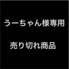 うーちゃん様専用【値下げ】持ち運びが出来るポケットWi-Fiのサムネイル