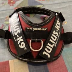 JULIUS-K9のサムネイル