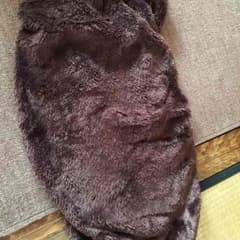 座椅子カバーのサムネイル
