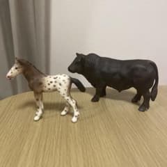 シュライヒ ブラックアンガス牛（オス）&クナプストルペル馬(仔)