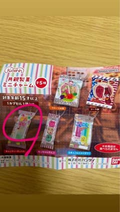 saru___様 リクエスト 2点 まとめ商品のサムネイル