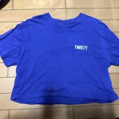 LOONEY TUNES トゥイーティー パープル Tシャツ Lのサムネイル
