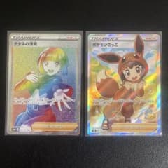 ポケモンカード ナタネの活気HR ポケモンごっこSR 2枚セットのサムネイル