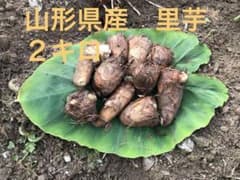 山形県産　里芋　2キロ(箱込み)のサムネイル