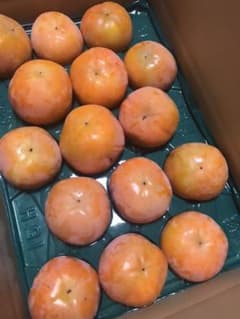ただし様専用のサムネイル