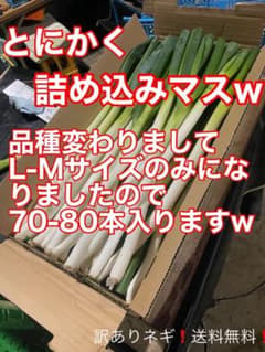 長ネギ❣️訳ありネギ ❣️とにかく詰め込みます❗️w   9.5kg記録　送料込みのサムネイル