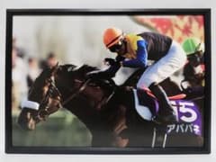 競馬.アパパネ.パネル.華麗なる女王たちの記憶