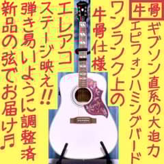 【希少☆牛骨☆エレアコ】Epiphone☆ハミングバード☆限定カラー☆ホワイト☆ 希少☆牛骨☆エレアコ】Epiphone☆ハミングバード☆限定カラー