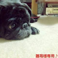(廃盤商品)煙管簪のサムネイル