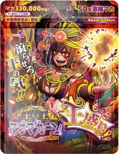 マカマカーン サプリ 約60日分 50倍濃縮マカ×亜鉛×NMN ひろ様専用のサムネイル