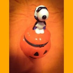 スヌーピー小物入れ♡のサムネイル