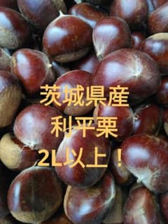 【栗農家直送】茨城県産 利平栗21kg　2L以上のサムネイル