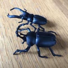 クワガタ　カブトムシ　ガチャのサムネイル