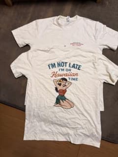 【美品】ハワイ限定 Tシャツ　2枚セットのサムネイル