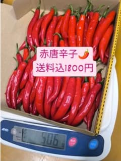 赤唐辛子 500g 送料込1800円のサムネイル