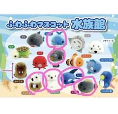 ぴよりーな ふわふわマスコット水族館 全15種類コンプリート ぴよりーな ふわふわマスコット水族館 全15種類コンプリート
