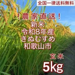 新米 令和8年和歌山産 きぬむすめ 玄米5kgキロ★ 農家直送★のサムネイル