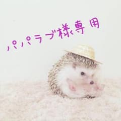 パパラブ様専用ページ♡のサムネイル