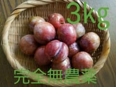 のった様専用のサムネイル