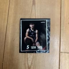 鹿児島レブナイズ 佐藤星来 トレーディングカードのサムネイル