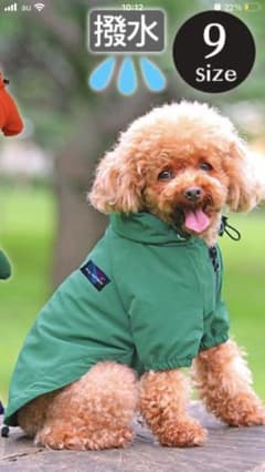 ペット 犬 コートのサムネイル