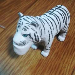 シャクレルホワイトのサムネイル