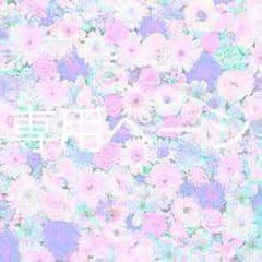 Dreamy様専用ページのサムネイル