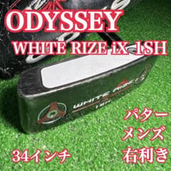 D260 Odyssey WHITE RIZE iX 1SH パター メンズ 右 - メルカリ