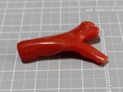 天然赤珊瑚 枝珊瑚 ハンドメイド素材　金のピン残りのサムネイル