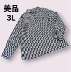 【大きいサイズ 3L】長袖 ハーフボタンシャツ ギンガムチェック 丸襟