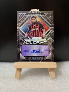 【25シリ】 マルディーニ 直筆 panini soccer auto