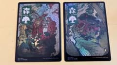 神河 輝ける世界 基本土地 森foil 2種セット - メルカリ