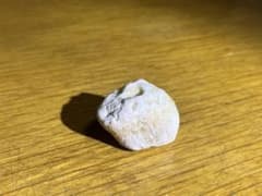天然石ジオード又はサンゴの一部のサムネイル