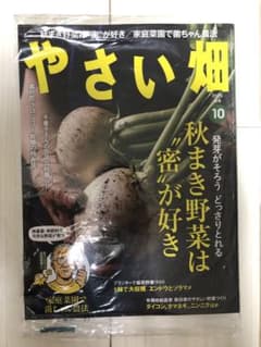 やさい畑　10月号　秋号　最新刊のサムネイル
