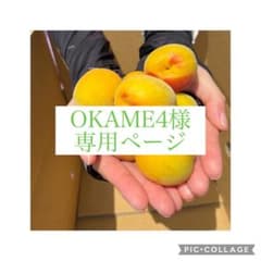 OKAME4様専用ページのサムネイル
