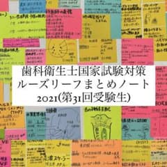 歯科衛生士国家試験対策ルーズリーフまとめノート！のサムネイル