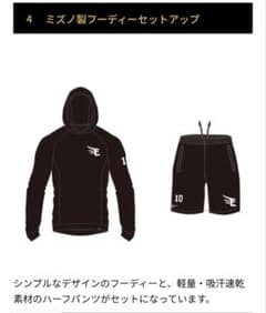 楽天イーグルスファンクラブ　特典フーディーセットアップ　サイズL 楽天イーグルス ファンクラブ特典 フーディーセットアップ サイズL