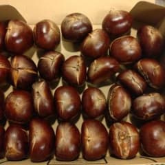 茨城の栗、利平栗ですのサムネイル
