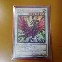 月華竜ブラックローズのサムネイル