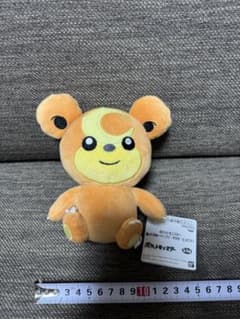 ポケットモンスター ぬいぐるみ ヒメグマのサムネイル