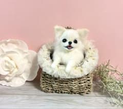 ゆめ　羊毛犬　羊毛フェルト　チワワのビジューバスケット ゆめ様専用 羊毛犬 羊毛フェルト チワワのビジューバスケット - メルカリ