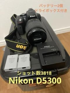 Nikon D5300 18-140VR バッテリー2個、フィルター3個などのサムネイル