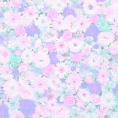 エ リ ◎ 様 【専用】のサムネイル