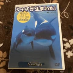 シャチが生まれたDVD - メルカリ