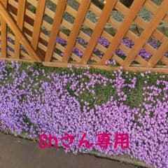 二十年ほいっぷのサムネイル