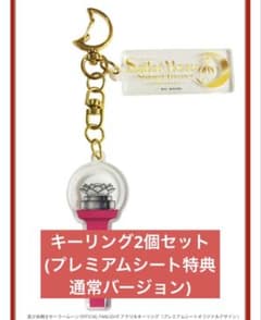 セーラームーン シャイニング シアター アクリルキーリング アクキー 品川 セーラームーン シャイニング シアター アクリルキーリング アクキー