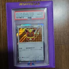 最終値下げ【PSA10】 ポンチョを着たイーブイ139/SM-Pのサムネイル