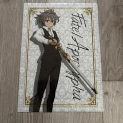 Fate/Apocrypha A4 클리어 파일 지크